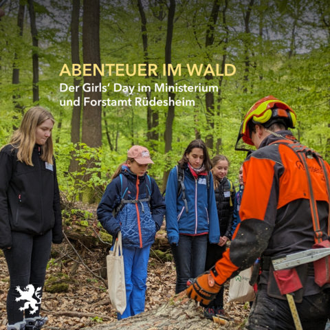 Abenteuer im Wald. Der Girls’ Day im Ministerium und Forstamt Rüdesheim.

Gruppe von Mädchen schauen sich mit einem Forstmitarbeiter einen Baumstamm im Wald an.