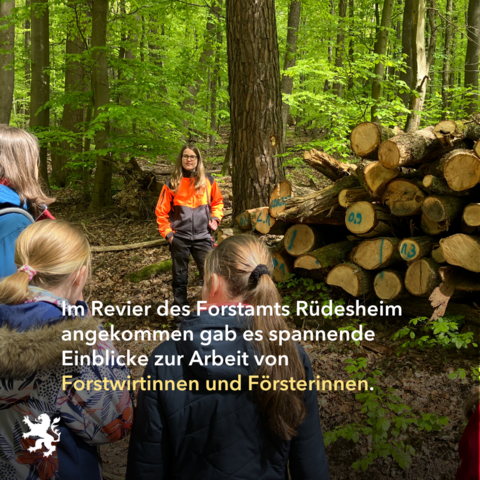 Im Revier des Forstamts Rüdesheim angekommen gab es spannende Einblicke zur Arbeit von Forstwirtinnen und Försterinnen.

Bild: Mitarbeiterin des Forstamt steht mit der Gruppe vor gefällten und gekennzeichneten Holzstämmen.