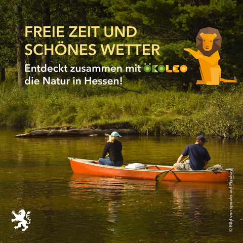 Bildtext: Freie Zeit und schönes Wetter. Entdeckt zusammen mit
die Natur in Hessen!
Bildbeschreibung: Flußlauf mit grünem Uferbereich. Ein rotes Kanu mit zwei Personen auf dem Fluss.