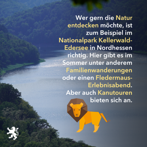 Bildtext: Wer gern die Natur entdecken möchte, ist zum Beispiel im Nationalpark Kellerwald-Edersee in Nordhessen richtig. Hier gibt es im Sommer unter anderem Familienwanderungen oder einen Fledermaus-Erlebnisabend.
Aber auch Kanutouren bieten sich an.
Bildbeschreibung: Blick auf den Erdersee mit Waldigen Ufern.